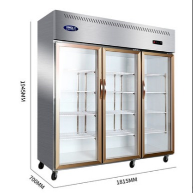星星1300升三门冰箱 立式商用展示柜 大容量单温冷藏冰柜 保鲜柜图片
