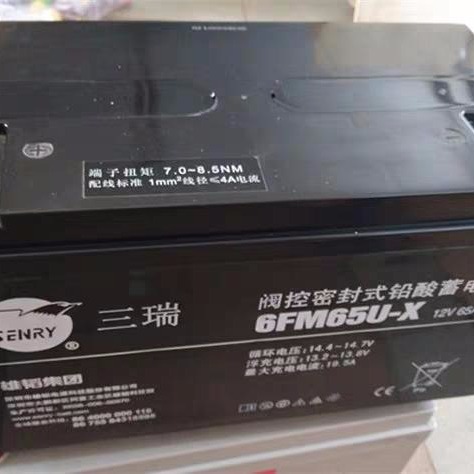 雄韬电源三瑞蓄电池6FM65U-X 12V65Ah三瑞蓄电池12V65AH产品报价正品  三瑞蓄电池质量就是好