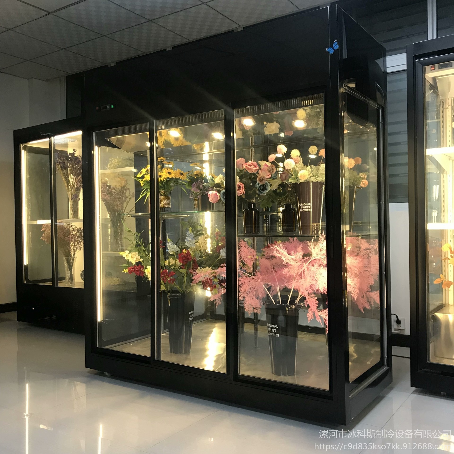 风冷展示柜 花店冰箱  双门三门  商用鲜花柜 工厂直销未来雪冷柜定制  WLX-XH-141