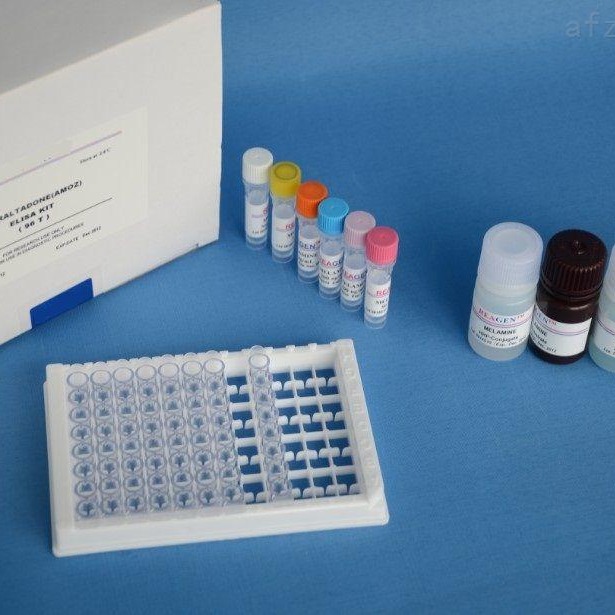 人淋巴素β试剂盒 LTB试剂盒  淋巴素βELISA试剂盒 美国RD试剂盒图片
