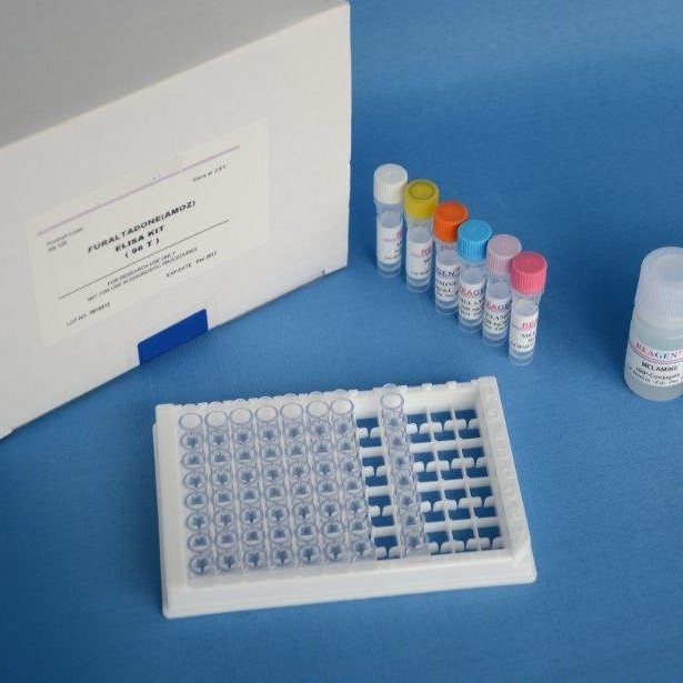人可溶性白细胞抗原-Ⅰ试剂盒 sHLA-Ⅰ试剂盒 可溶性白细胞抗原-ⅠELISA试剂盒 厂家直销图片