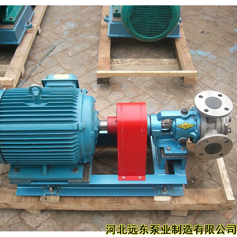 高粘度打胶泵NYP110-RU-T1-W11保温高粘度泵,流量8m3/h,扬程80米