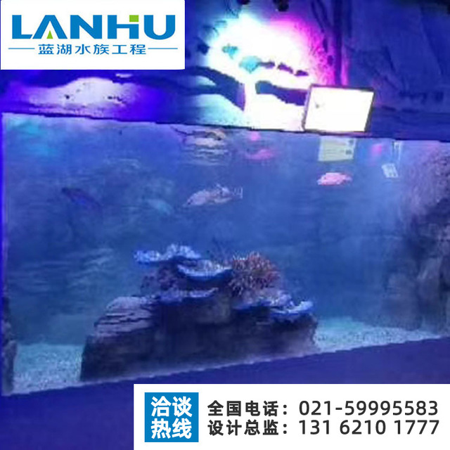 lanhu承接大型亚克力鱼缸定制 海洋馆鱼缸维生系统设计安装 鱼缸造景