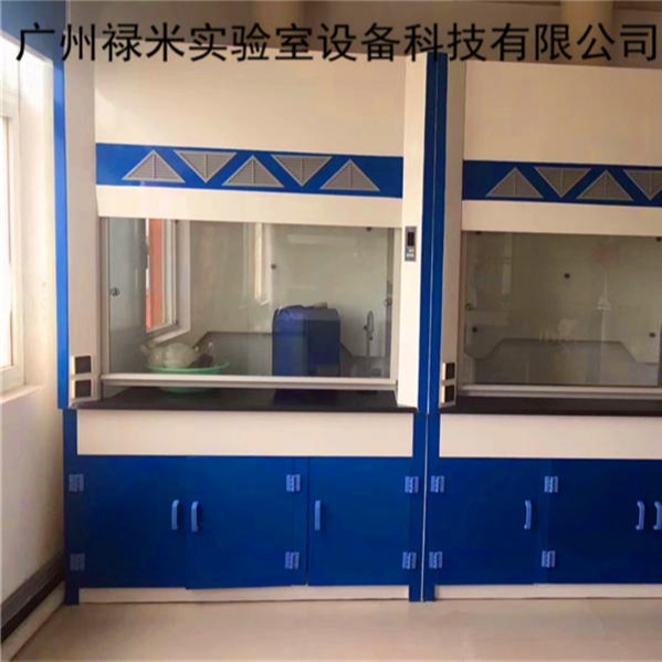 禄米实验室 广东广州玻璃钢通风柜生产厂家LUMI-TFG416