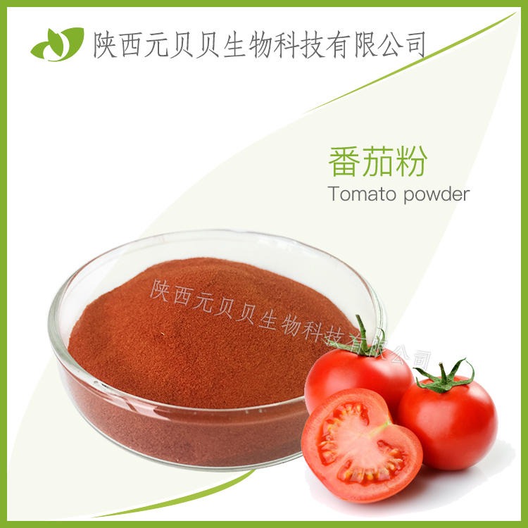番茄汁粉 壹贝子现货供应免费拿样包邮  易溶性番茄粉