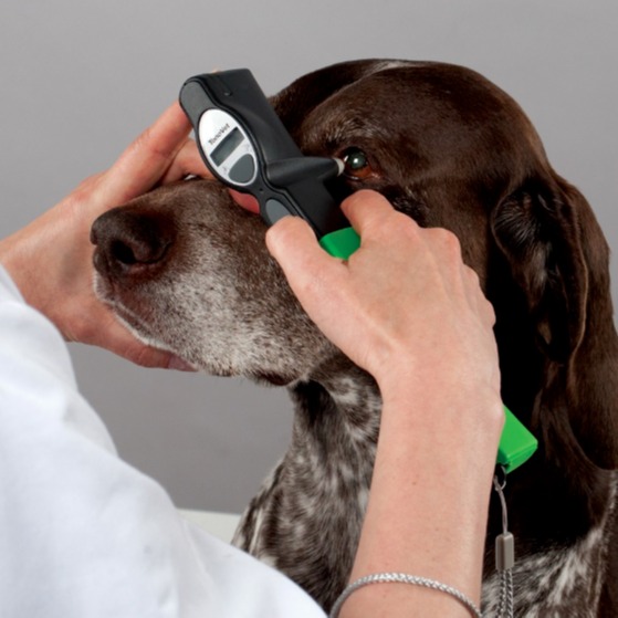 ICARE TONOVET动物眼压计,兽医专用,宠物用回弹眼压计