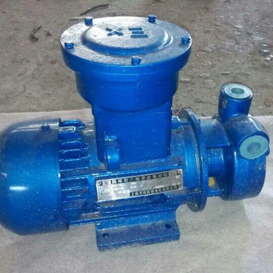 W型单级旋涡泵 1W2.4-10.5旋涡泵 直联式单级旋涡泵 小流量高扬程泵图片