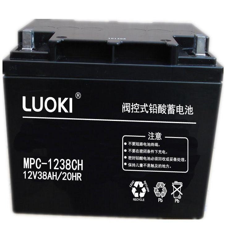洛奇蓄电池MPC12-38洛奇电池12V38AH 铅酸免维护蓄电池 UPS电源专用图片