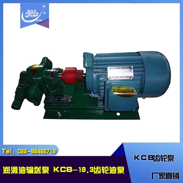 KCB-18.3齿轮油泵 润滑油输送泵 远东齿轮泵 厂家直销