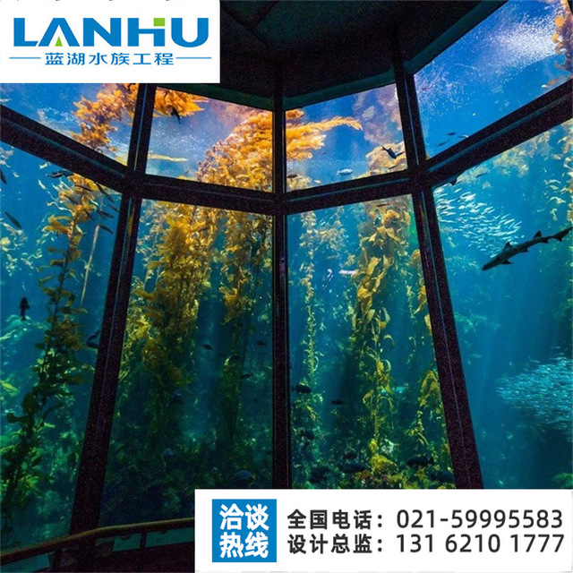 lanhu定制大型亚克力鱼缸水族工程 鱼缸造景 水族展览水母缸设计安装