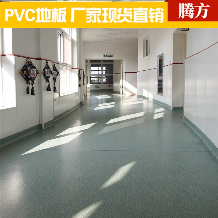 腾方pvc塑胶地板 幼儿园教室PVC塑胶地板 腾方厂家直发 纯色印花
