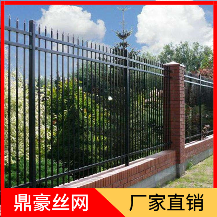 锌钢型材护栏 锌钢小区护栏公司 锌钢围墙铁护栏 鼎豪丝网图片