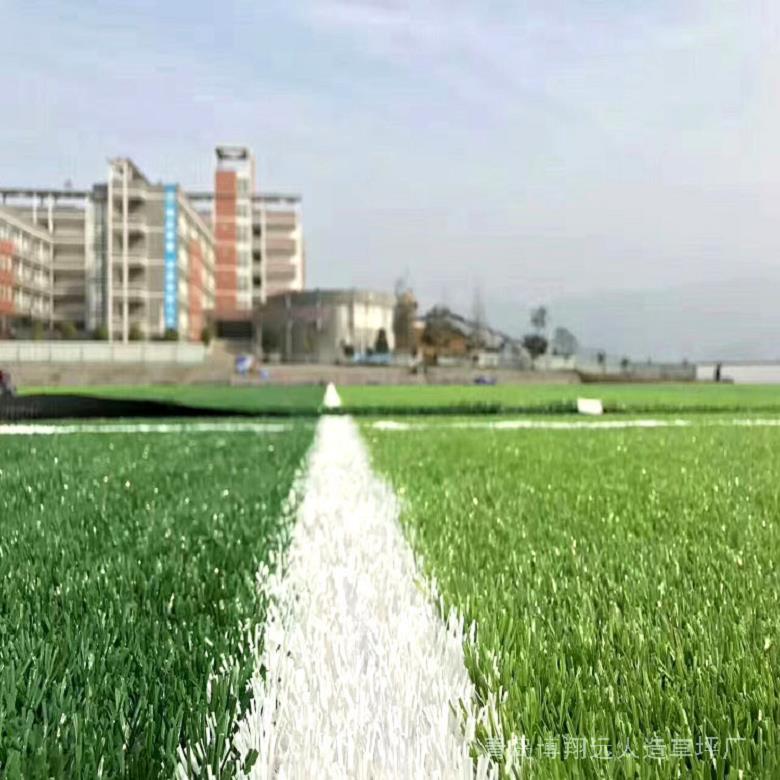 优质的足球场人造草 博翔远牌足球场假草坪 临沂塑料草坪足球场 生产厂家