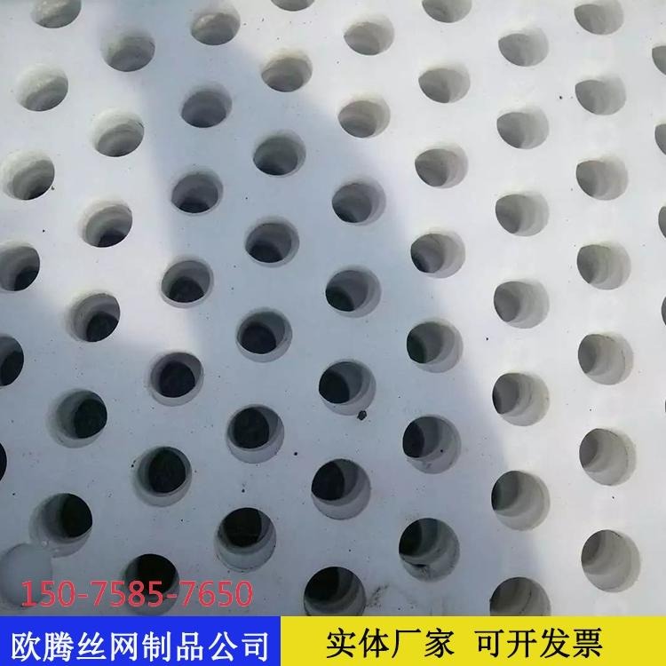 大同煤场专用塑料板冲孔网 15mm厚塑料板冲孔网厂家及价格