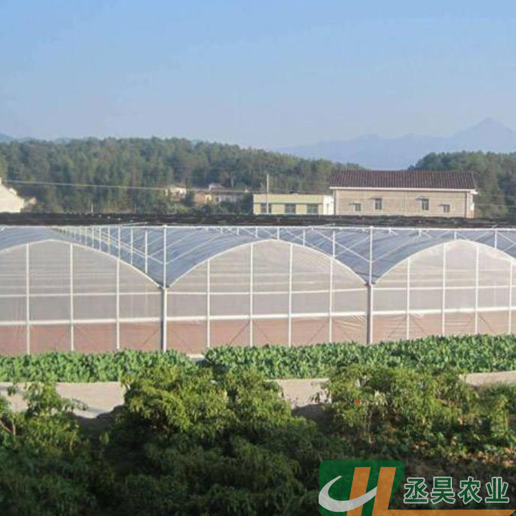 青州 连栋大棚 丞昊农业供应 草莓种植 抗风能力强