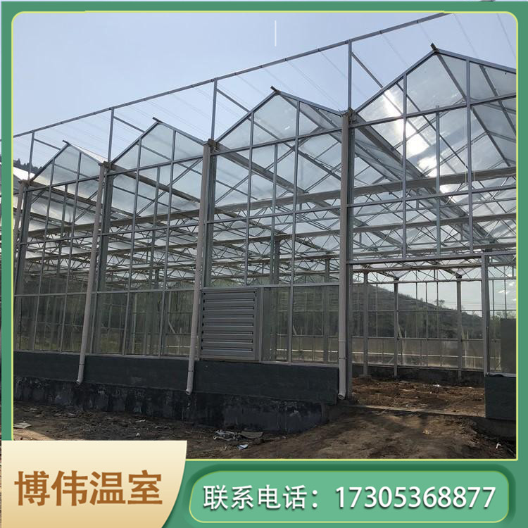 玻璃蔬菜温室建设 玻璃蔬菜温室大棚 新型玻璃大棚 博伟 BW