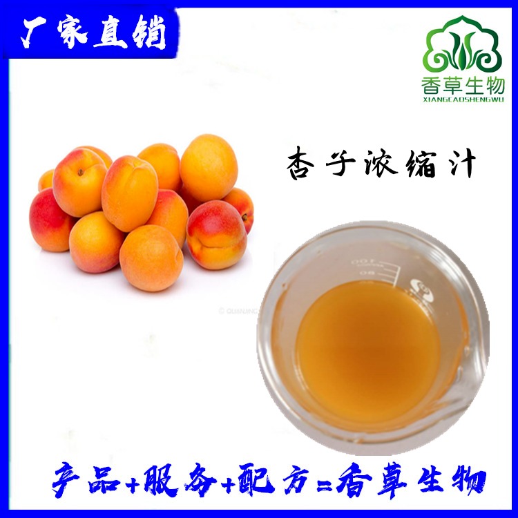 杏子汁 杏子浓缩汁 原浆 杏子提取物 杏子浓缩液