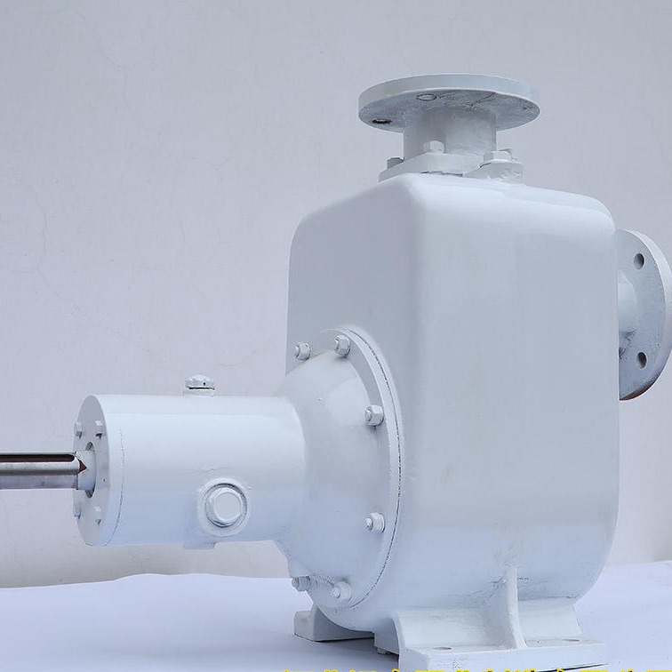 河北远东泵业 溶剂油输送泵  50CYZ-20  汽油输送泵  该泵结构简单  操作方便图片