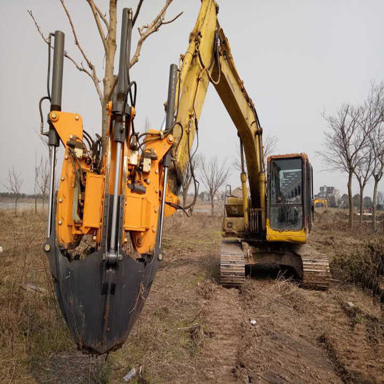 园林果树移植机   小型挖树移树机   挖机移树机价  浣熊