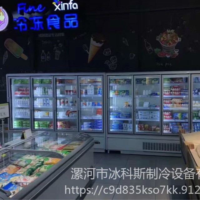 冰科斯-WLX-LSLD-39三门速冻柜_水饺丸子冷冻展示柜_立式海鲜冷冻柜 火锅食材冷冻柜图片