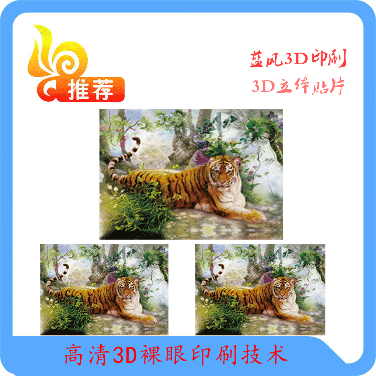 深圳专业3D立体印刷 PET光栅卡 3D卡片  三维变图卡片三维光栅片示例图5