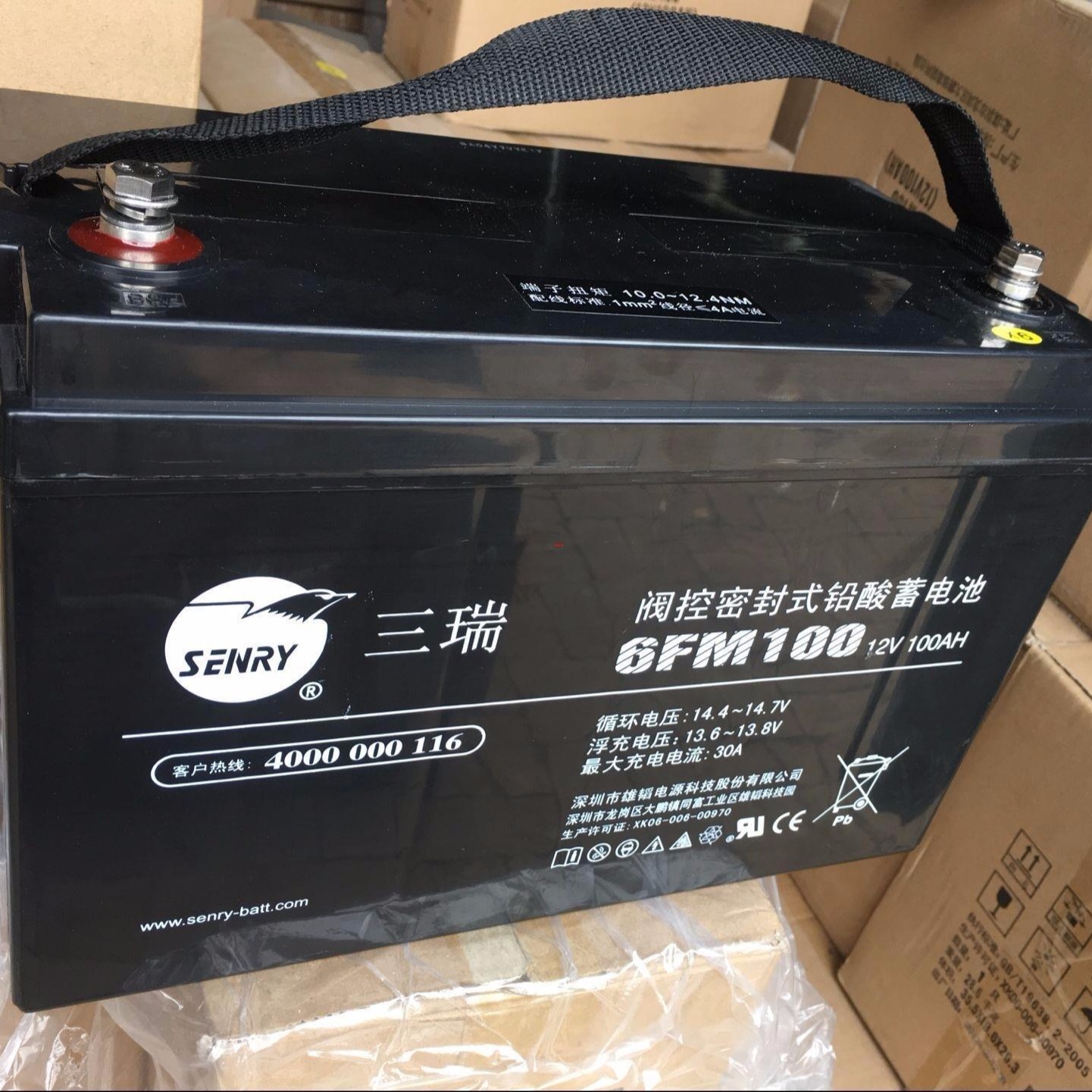 三瑞蓄电池6FM100 三瑞蓄电池 12V100AH 免维护铅酸蓄电池 质保三年