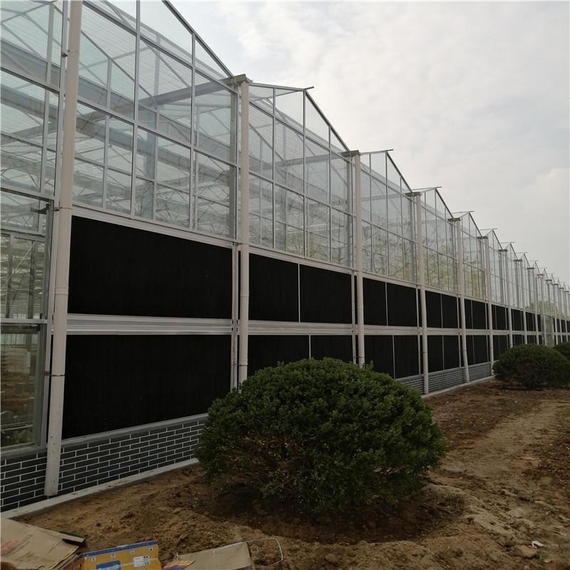 温室玻璃大棚 玻璃育苗温室 现代化玻璃温室大棚