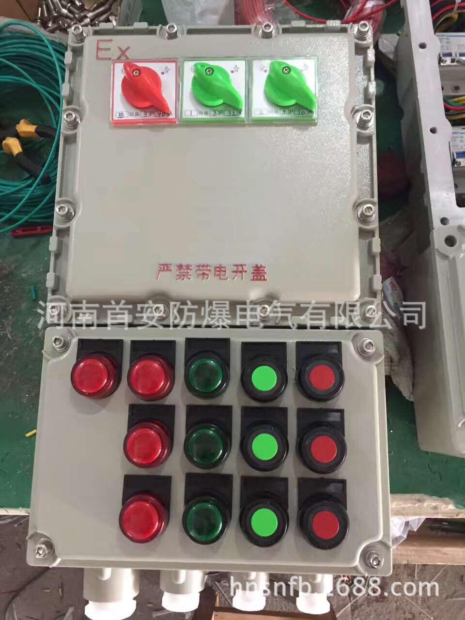 防爆温控箱 电伴热系统防爆控制箱 滁州防爆控制柜示例图1