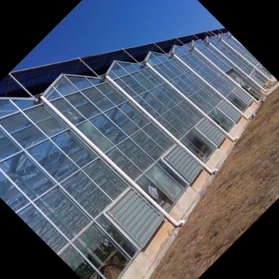 温室大棚 玻璃连栋温室大棚 薄膜连栋温室 全国设计安装一站式服务