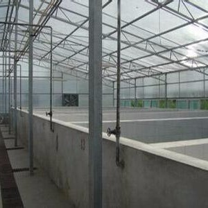 山东鑫泽温室 养殖大棚建设 薄膜养殖大棚的报价 薄膜养殖温室大棚生产安装