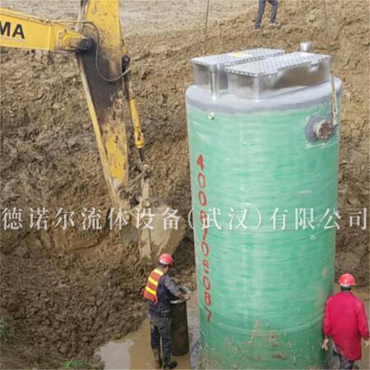 陕西一体泵站厂家 江河湖泊等水源地取水 不锈钢_德诺尔DNRP