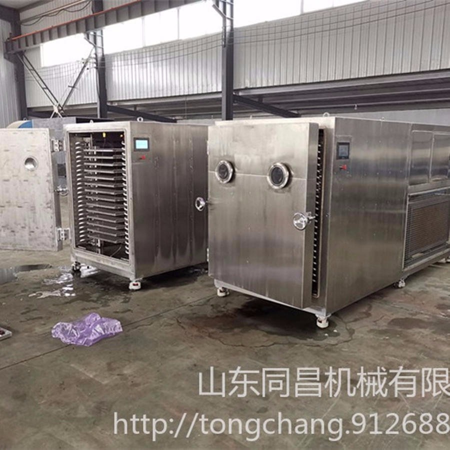 厂家现货供应真空冻干机 大型真空冷冻干燥机 不锈钢全自动冻干设备
