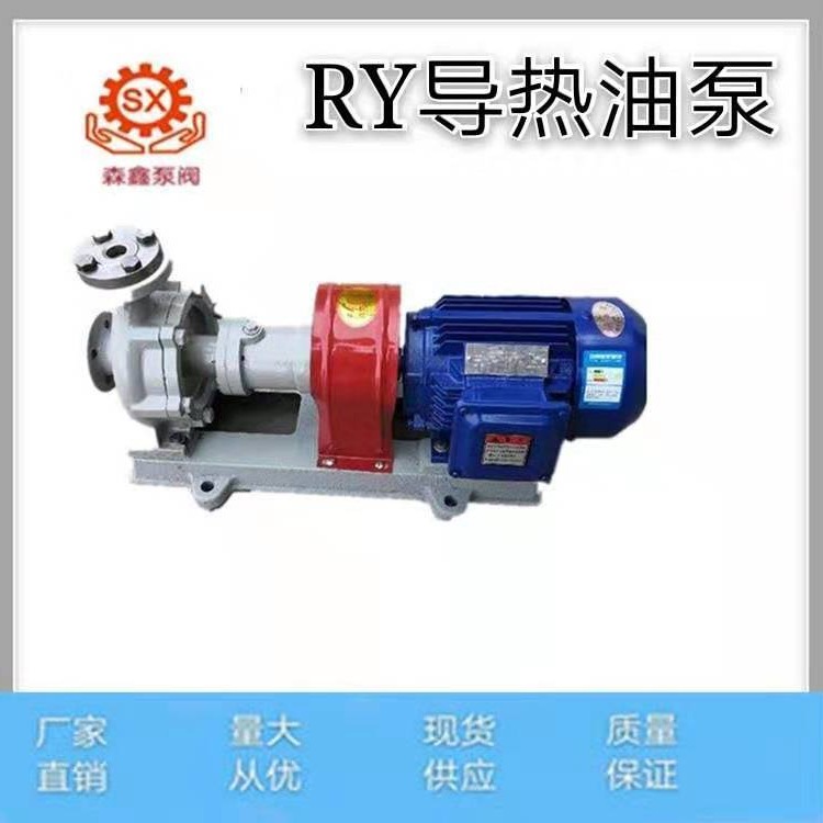 森鑫公司专业生产 高温电动RY20-20-125耐高温导热油循环泵 卧式导热油泵 塑料导热油泵