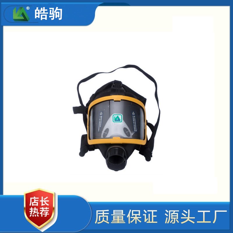 皓驹  HJF05 喷漆防尘防化学全面具 自吸过滤式防毒面具  便携式全面型过滤式呼吸防护器2890