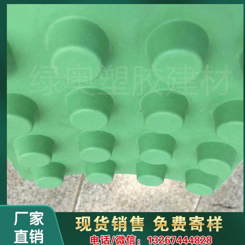 广东塑料排水板生产厂家，绿奥供应HDPE防排水板，现货直发蓄排水板底价清库存