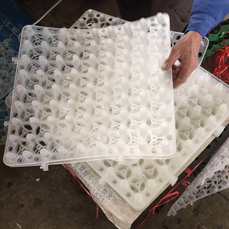 鼎诺塑料排水板厂家直销楼顶花园用蓄排水板支持大量批发