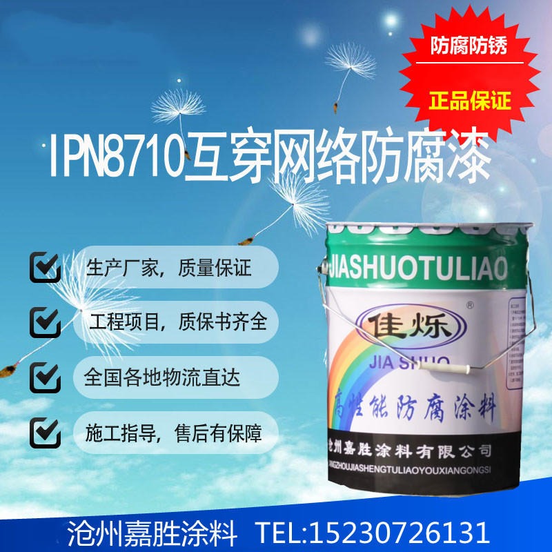 IPN8710高分子防腐涂料盐山生产厂家