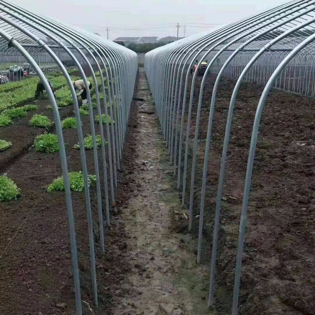 建简易养猪大棚 椭圆管温室大棚建造 蔬菜大棚生产厂家 花卉种植大棚
