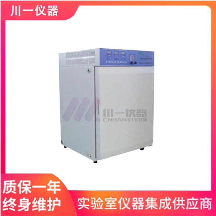 天津 多种气体低氧培养箱 CHSQ-100-III 微生物恒温培养箱 80L