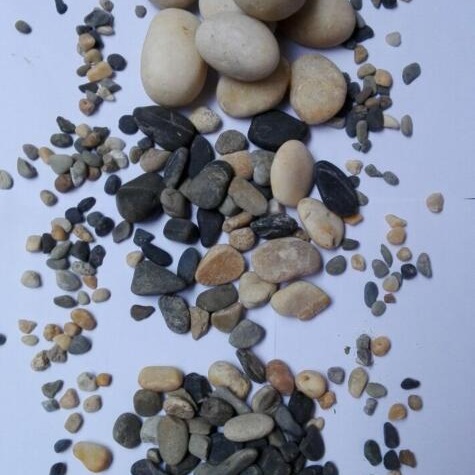 鹅卵石砾石滤料  垫层鹅卵石  承托层鹅卵石