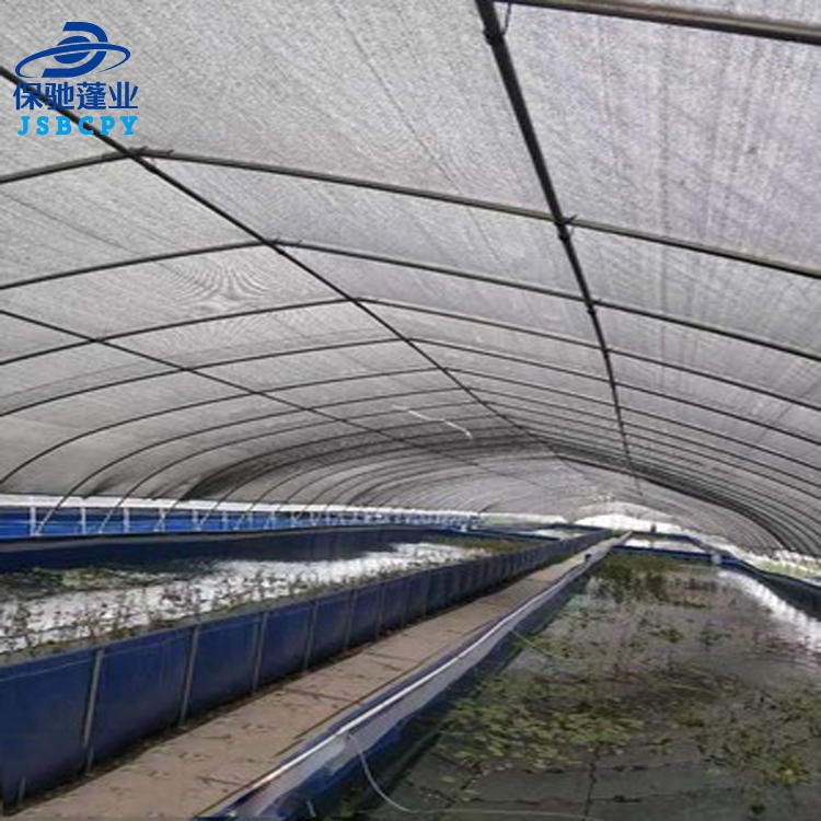 扬州刀刮布水池箱大棚高密度养殖大型加厚折叠帆布养鱼PVC养虾池