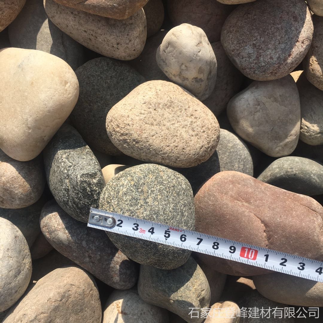 山东厂家批发 鹅卵石价格 地暖卵石 精致鹅卵石 大小均匀