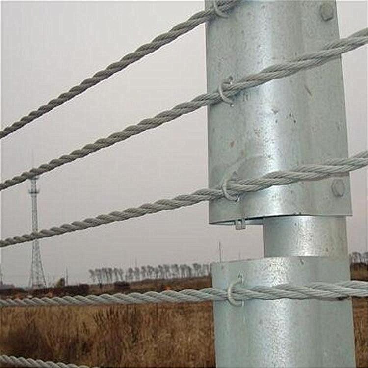 开封缆索护栏 河道缆索护栏 缆索绳护栏 缆索栏杆生产