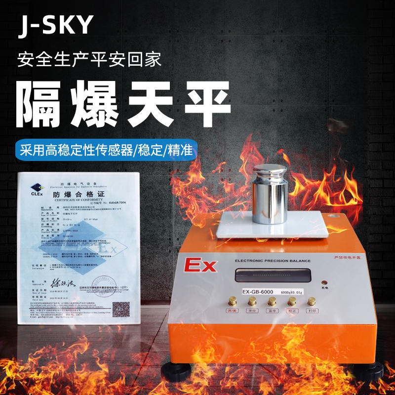 EX-GB防爆天平称30kg高精度0.1g本安型EX防爆电子天平桌秤工业化工专用称