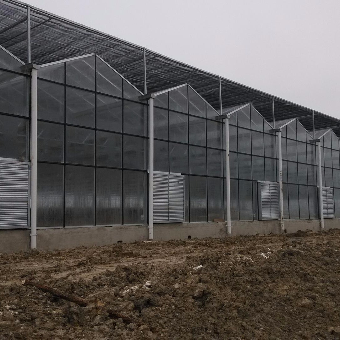 潍坊建达温室 文洛温室  厂家直销阳光板温室大棚 批发连栋温室 阳光板智能温室