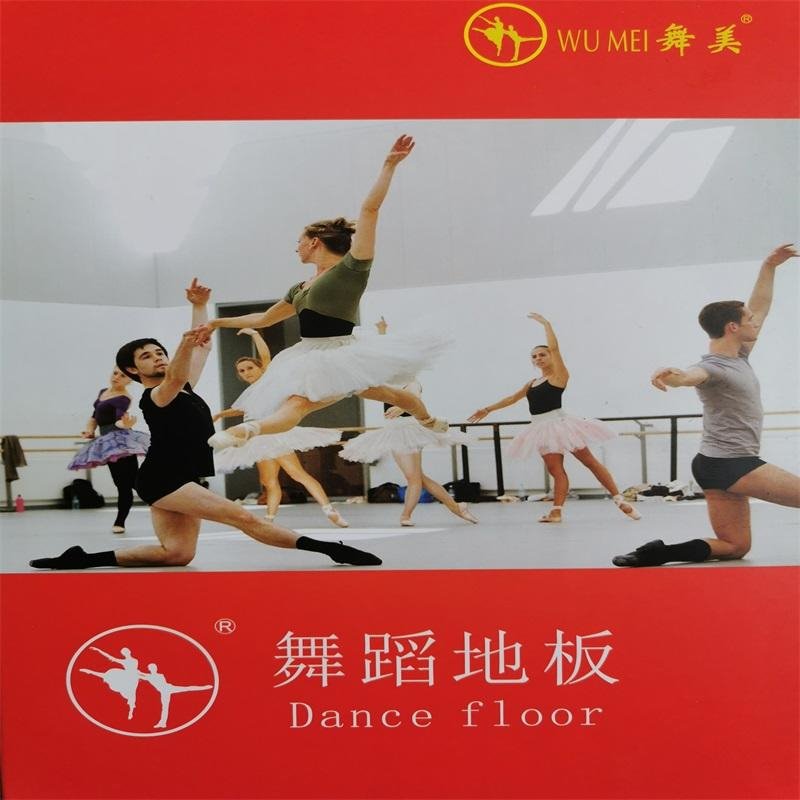 舞美舞蹈地板运动地胶板pvc塑胶地板舞蹈室运动场用地胶