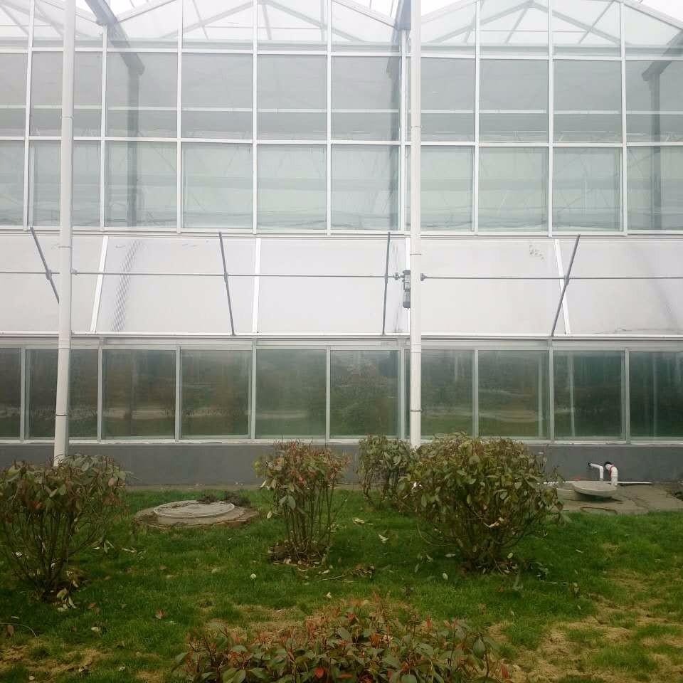 博伟 玻璃温室厂家 景观种植大棚 玻璃温室花园景观