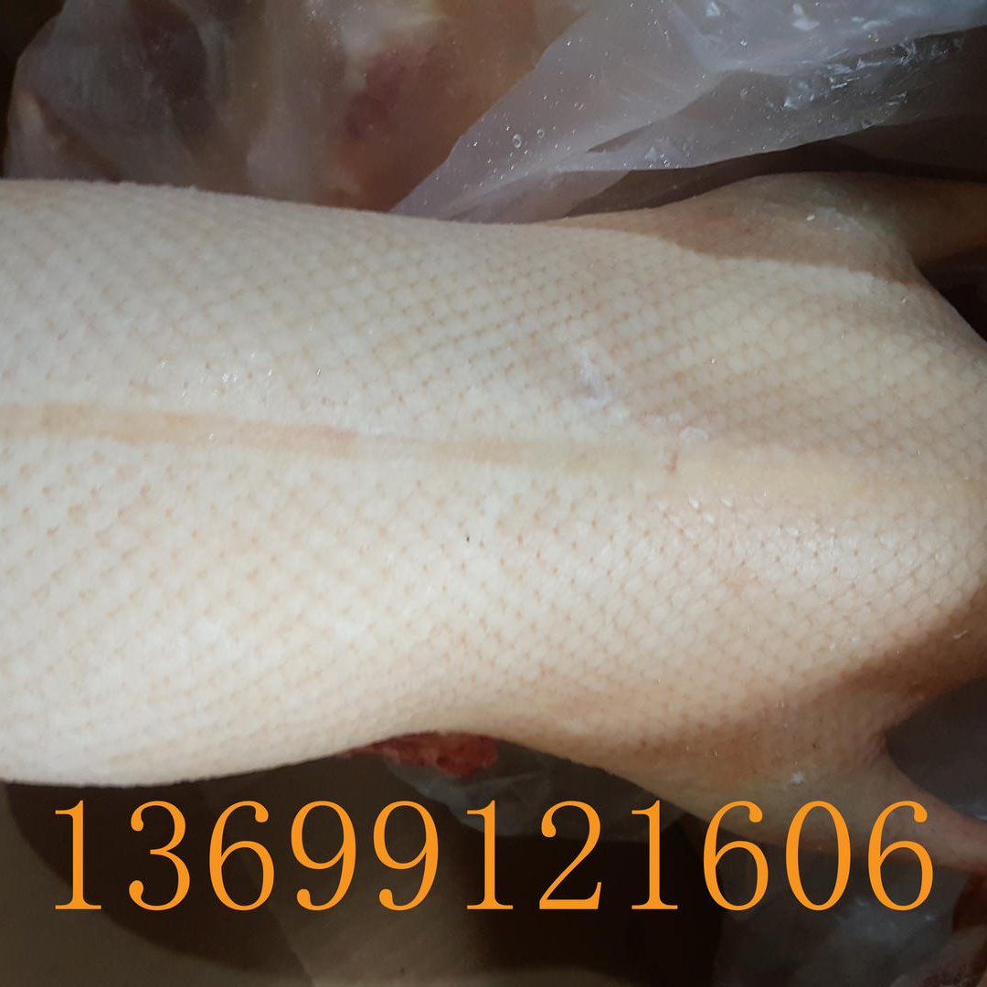 厂家直销北京烤鸭坯直供四系鸭胚4.4-4.6斤填鸭