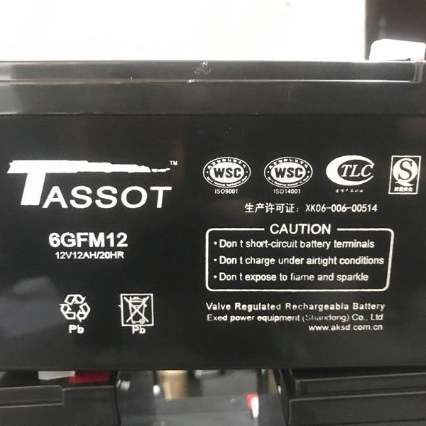 TASSOT蓄电池TST12V7AH授权报价