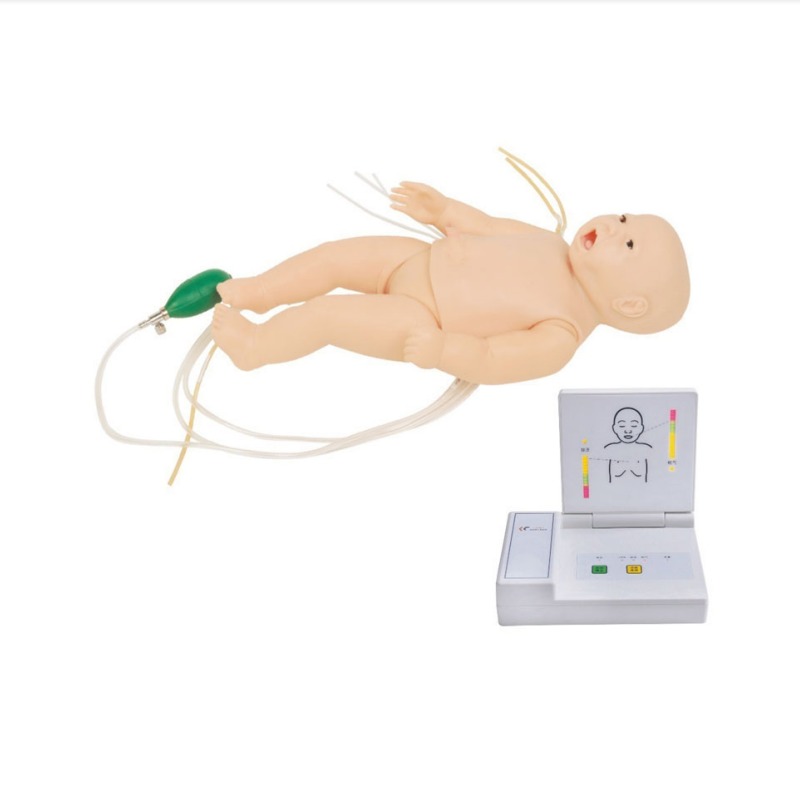 多功能婴儿急救训练人体实训考核装置  多功能婴儿急救训练人体实训设备 多功能婴儿急救训练人体综合实训台